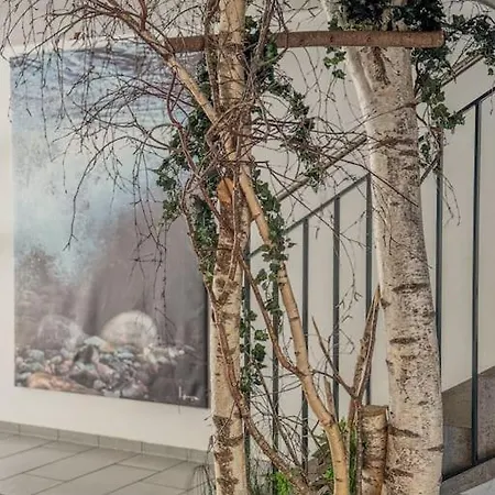 5-täler Apartment Bartholomäberg